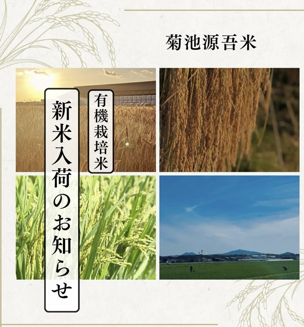 saigoさん